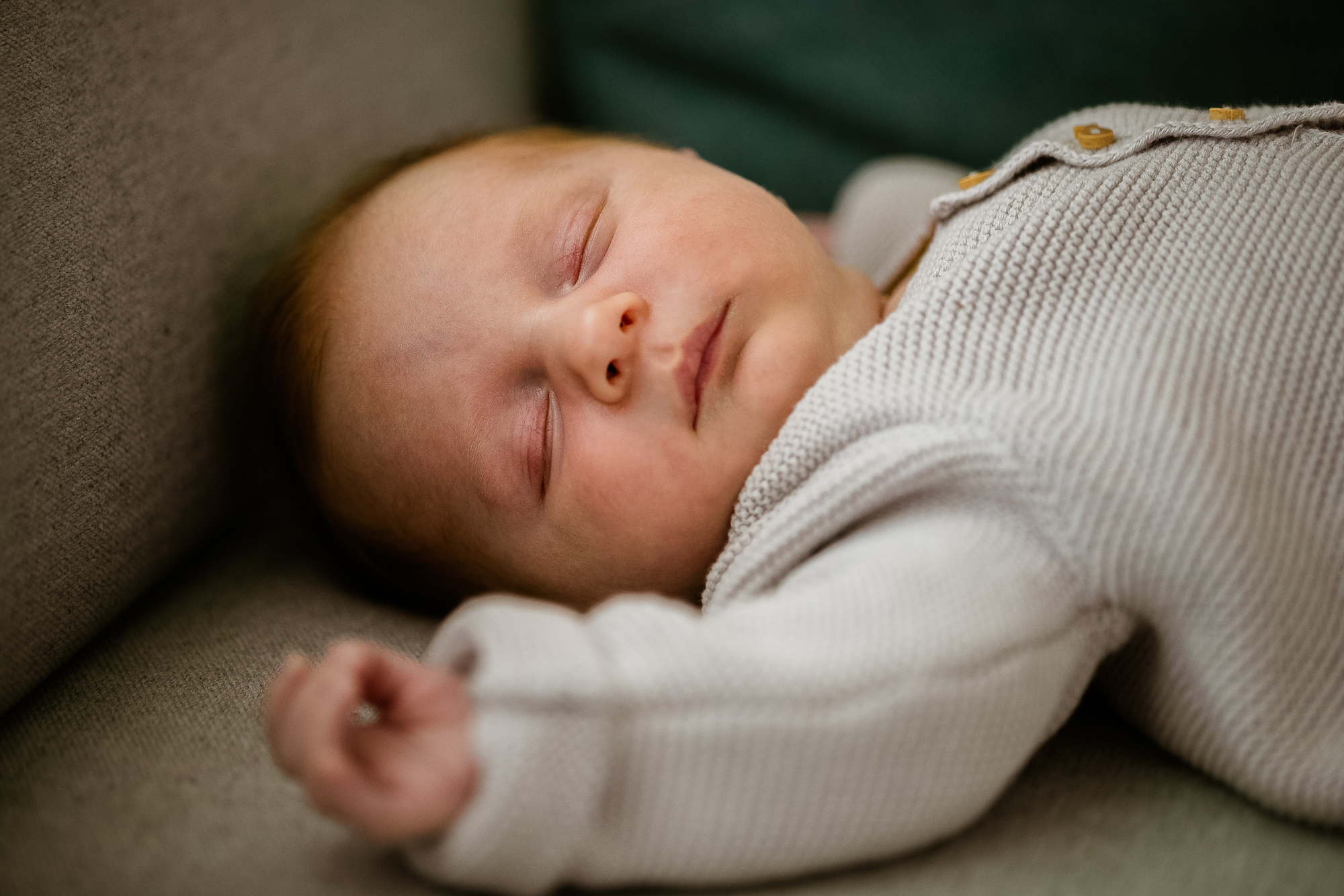 Export x3 1DX28378 Bearbeitet Familienfotoshooting 2019 Hefti 2